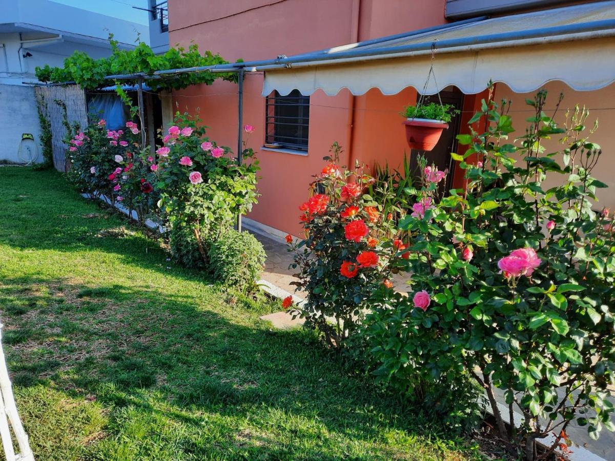 New Loft Polixeni Apartment Ioannina Exterior photo