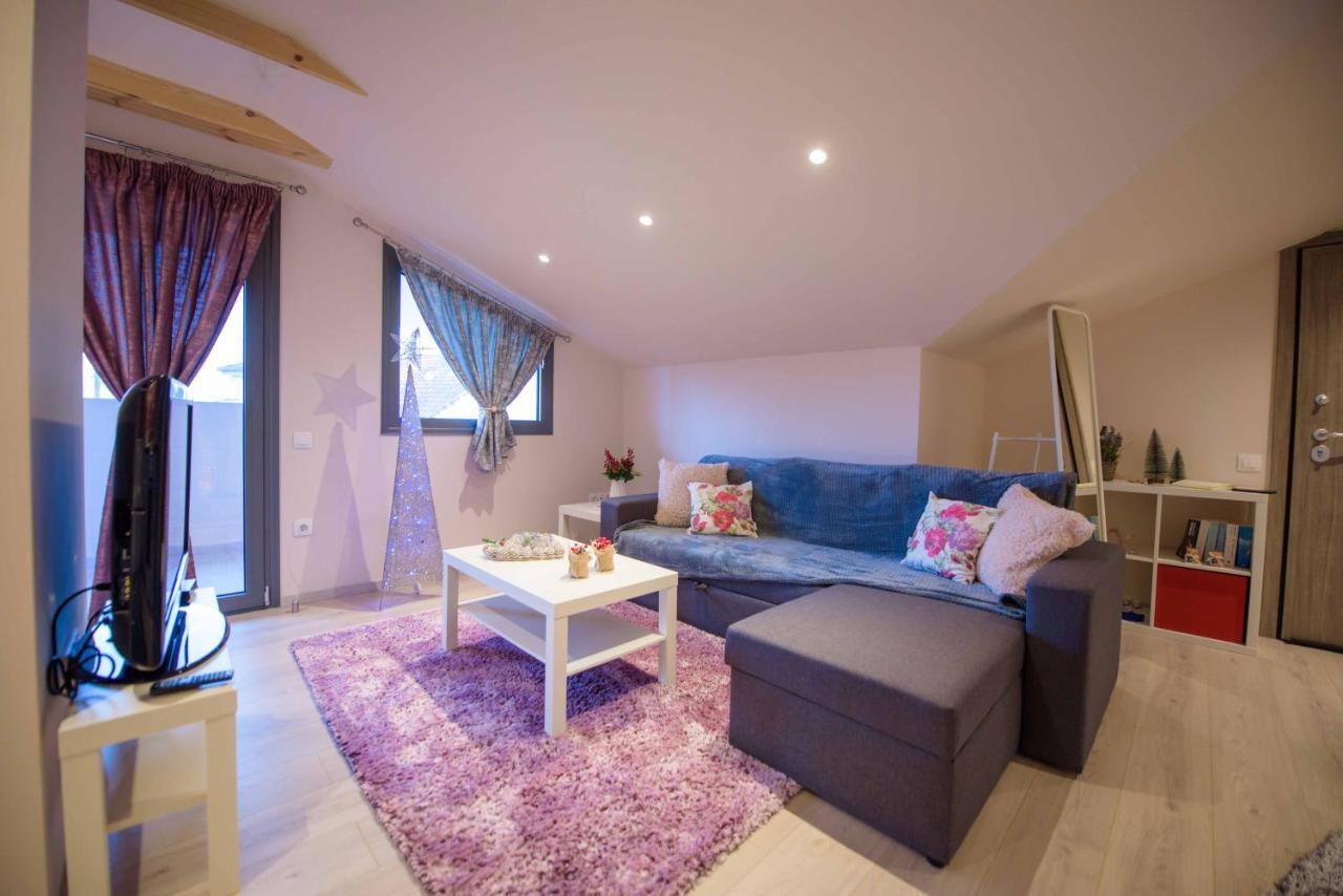 New Loft Polixeni Apartment Ioannina Exterior photo